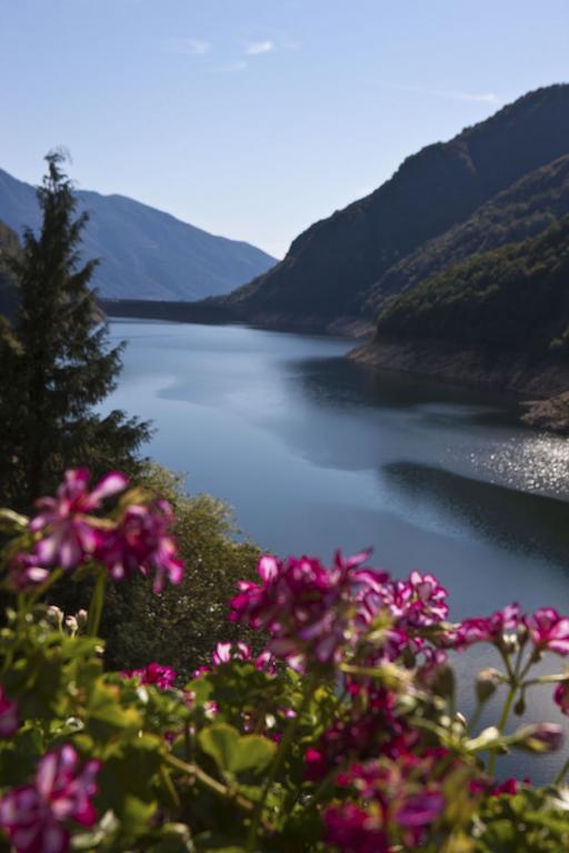Hotel Al Lago Vogorno Dış mekan fotoğraf